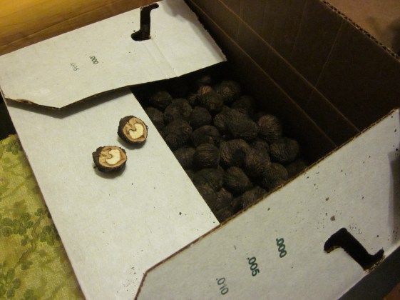walnuts in a box