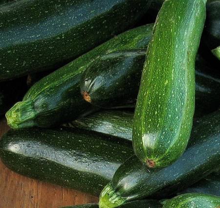 Zucchini by Rhea