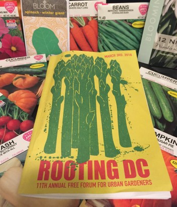 Rooting DC program with seed packets