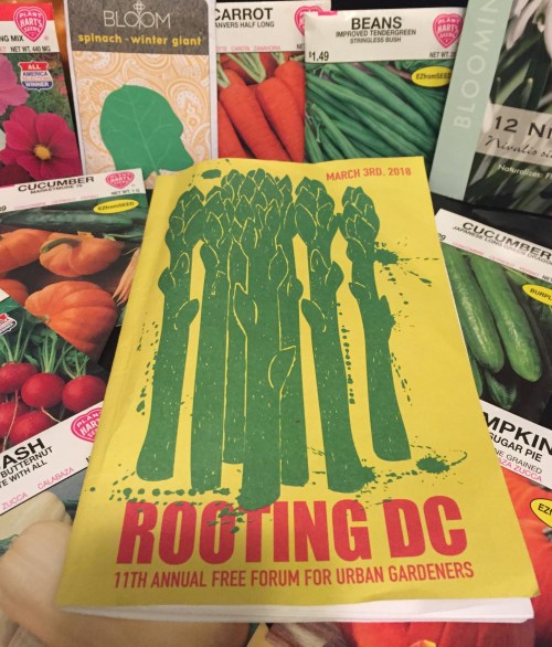 Rooting DC program with seed packets